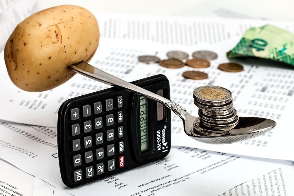 financial literacy/budget allocation